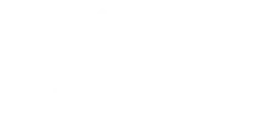 New-Mind-Logo-768×378-1 white